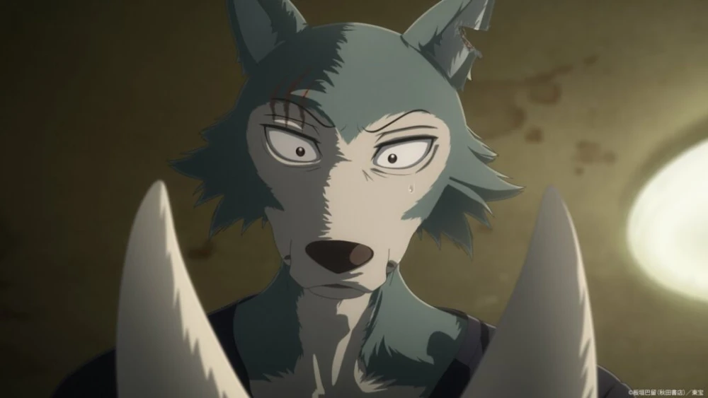 Visual Pertama Anime BEASTARS Final Season Part 2 di Netflix Dirilis